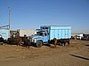 IMG_6557.JPG