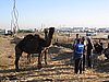 IMG_6559.JPG