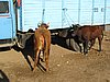 IMG_6560.JPG