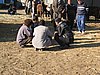 IMG_6563.JPG