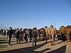IMG_6566.JPG