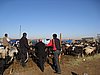 IMG_6582.JPG