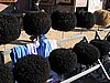 IMG_6603.JPG