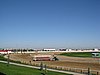 IMG_6652.JPG