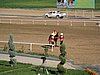 IMG_6658.JPG