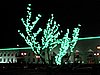 IMG_6679.JPG