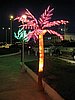 IMG_6680.JPG