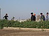IMG_6730.JPG