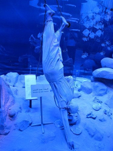 IMG_2219.JPG