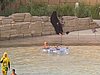 IMG_2162.JPG