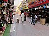 IMG_2212.JPG