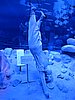 IMG_2219.JPG