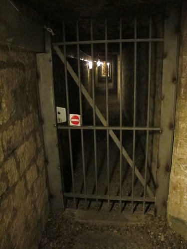 IMG_0385.JPG