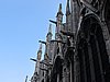 IMG_0200.JPG