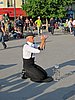 IMG_0227.JPG
