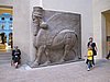 IMG_0313.JPG