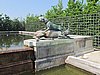 IMG_0464.JPG