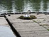 IMG_0483.JPG