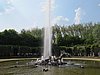 IMG_0486.JPG