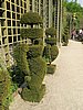 IMG_0488.JPG