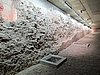 IMG_0619.JPG