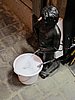 IMG_0713.JPG
