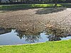 IMG_0745.JPG