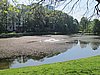 IMG_0747.JPG