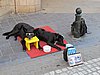 IMG_0792.JPG