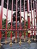 IMG_0795.JPG