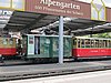 IMG_1524.JPG