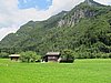IMG_1528.JPG