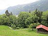 IMG_1546.JPG