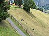 IMG_1549.JPG