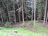 IMG_1567.JPG