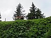 IMG_1573.JPG