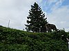 IMG_1574.JPG