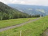 IMG_1575.JPG