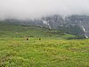 IMG_1586.JPG