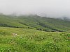 IMG_1588.JPG