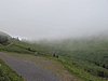 IMG_1589.JPG