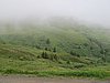 IMG_1590.JPG