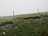 IMG_1591.JPG