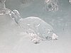 IMG_1626.JPG