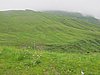 IMG_1671.JPG