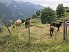 IMG_1687.JPG
