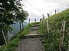 IMG_1689.JPG