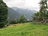 IMG_1690.JPG