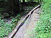 IMG_1701.JPG