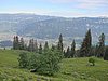IMG_1718.JPG